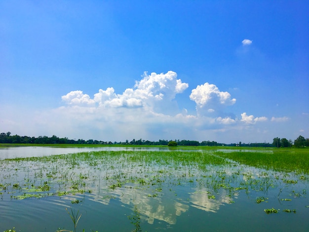 Rainy season nature photography