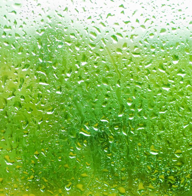 雨の濡れた背景