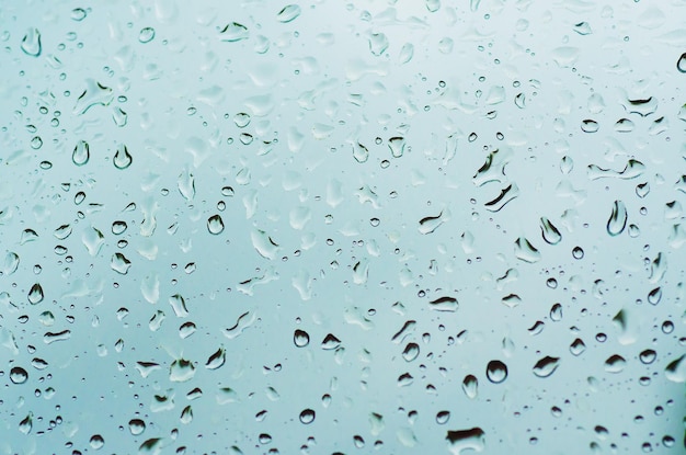 雨の濡れた背景