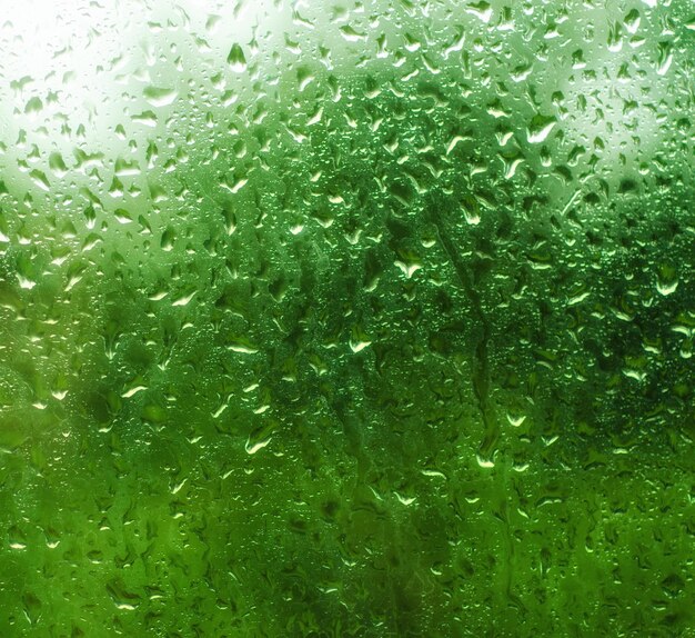 雨の濡れた背景