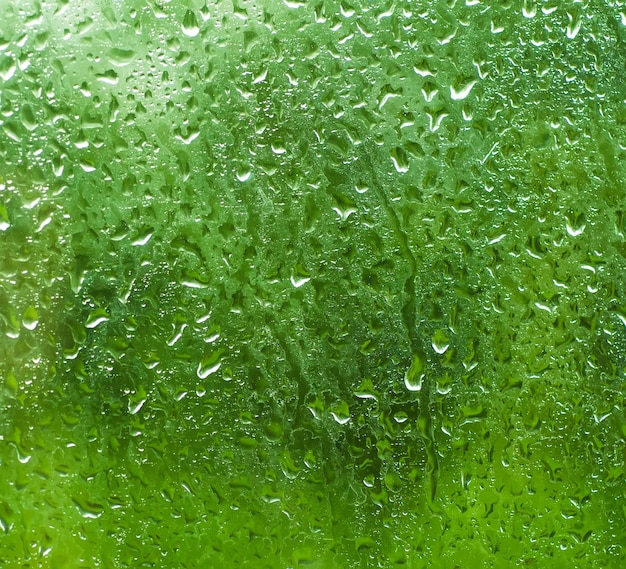 Rainy wet green eco seasonal summer natural blurred background with water drops