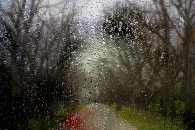 Rainy window autumn raindrops on the glass against the backdrop of a dull nature with trees and a footpath