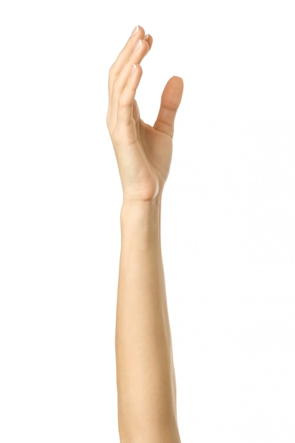 Raised hand voting or reaching. Woman hand gesturing isolated on white