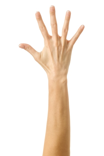 Поднятая рука голосует или тянется. Рука женщины с показывать французский маникюр изолированный на белой предпосылке. Часть серии