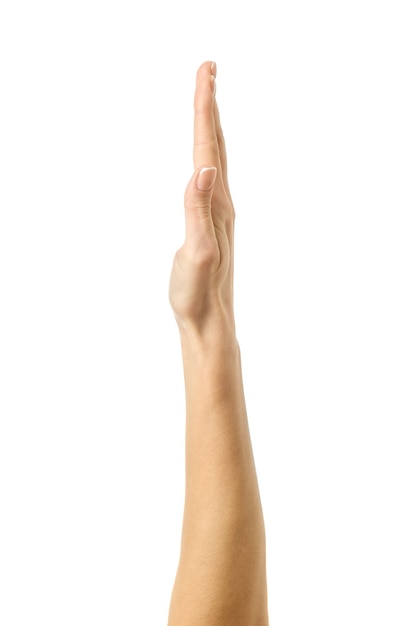 Raised hand voting or reaching. Woman hand with french manicure gesturing isolated on white wall. Part of series