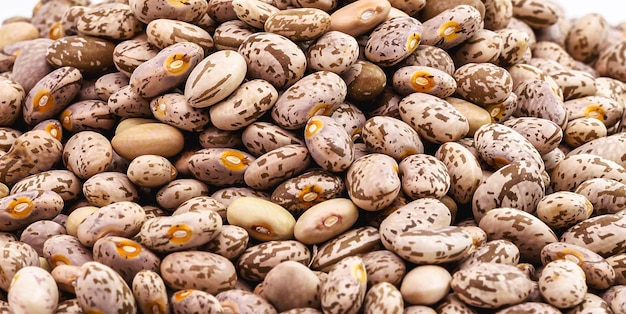 Rajado beans brazilian beans seed pile on isolated macro photography