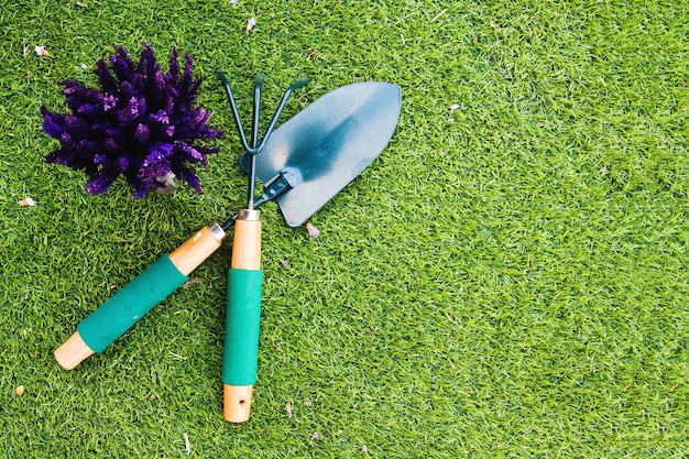 rake and flower on grass