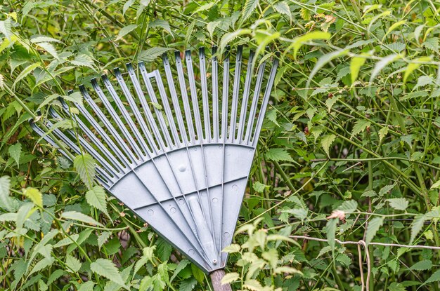 Rake in a garden