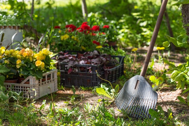 春の庭に植えるのを待っている熊手とさまざまな花