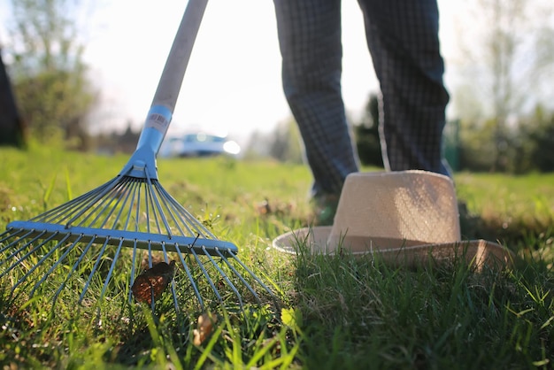 Rakes to collect old grass