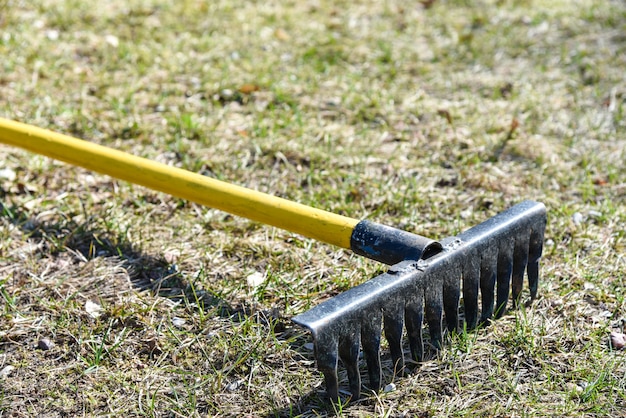 Rakes lie on the grass