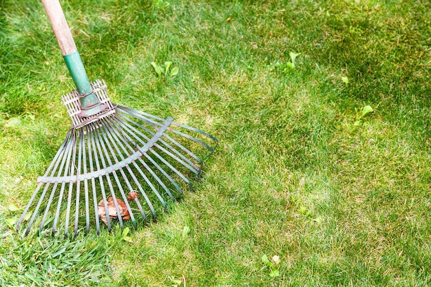 熊手で緑の芝生から葉をかき集める