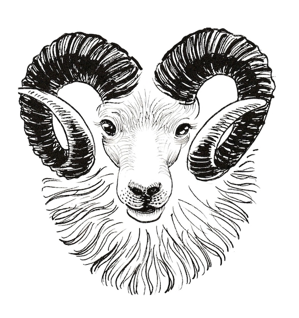 Ram hoofd. Inkt zwart-wit tekening