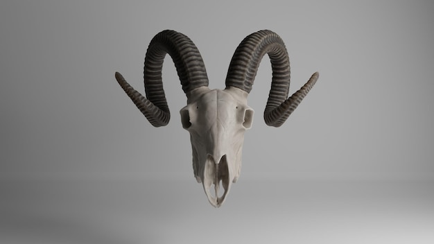 Ram の頭蓋骨 3 d イラスト モダンなイラスト 3 d レンダリング コンセプト アート