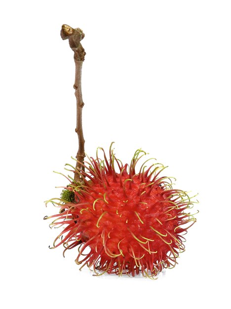 rambutan sweet delicious fruit isolated on white background