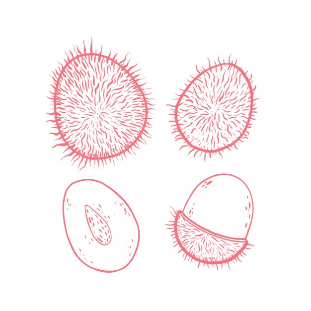 Rambutant fruit