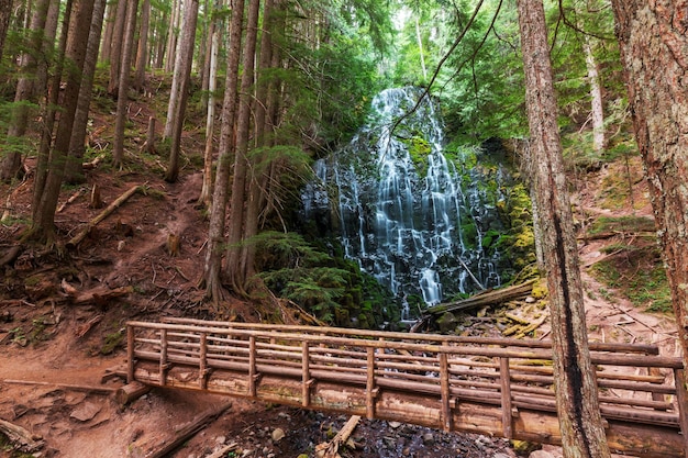 Ramona falls