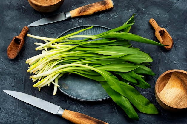 Ramson bunch of wild garlic