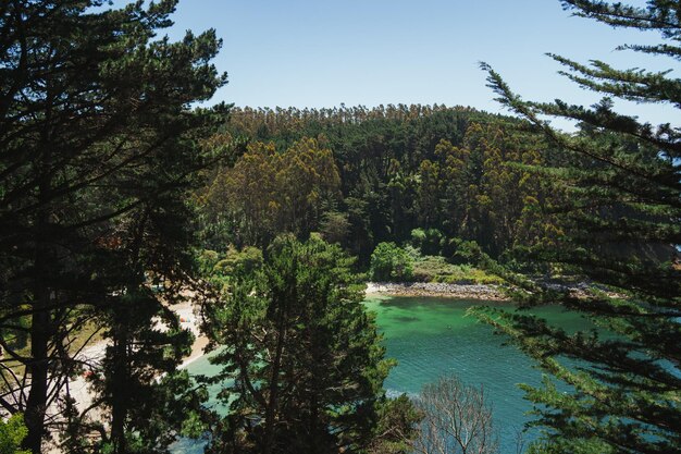 Foto la spiaggia di ramuntcho vista attraverso gli alberi della foresta hualpen bio bio cile