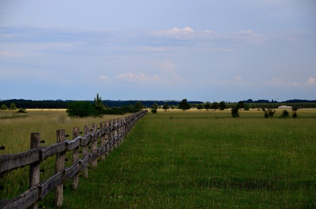 Ranch and landscape