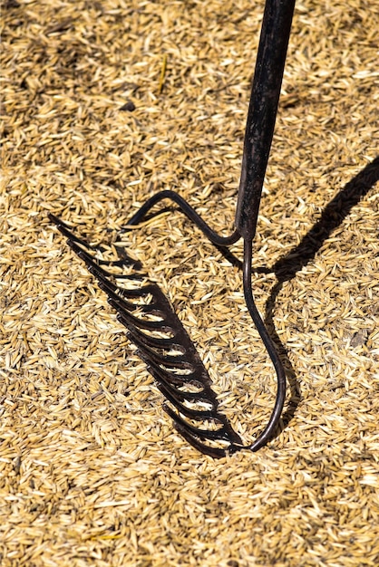 Photo ranch with grain on ground