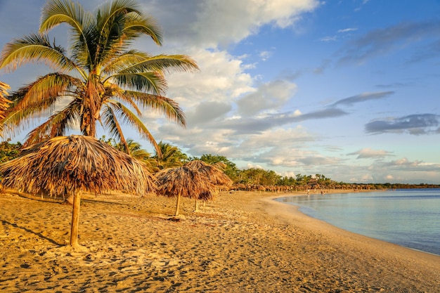 Cienfuegos Cuba 해안에 손바닥과 밀짚 우산이 있는 Rancho Luna 모래 해변