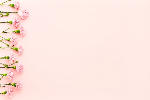 Rand van roze anjer bloemen op roze achtergrond moeders dag Valentijnsdag verjaardagsviering