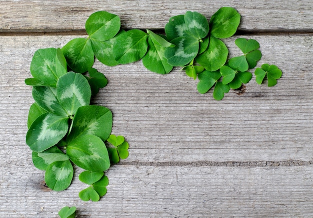 Rand van verse groene shamrock bladeren op een oude houten achtergrond. Sjabloon voor Saint Patricks day wenskaart of poster.