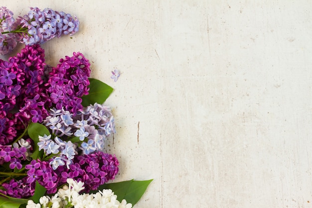 Rand van verse lila bloemen op witte leeftijd houten achtergrond