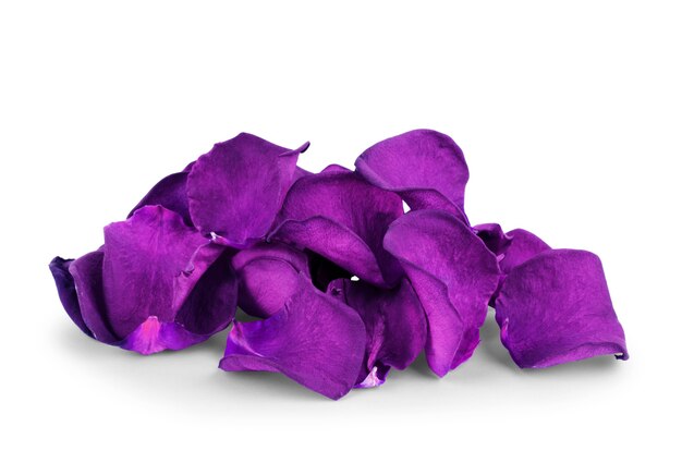 Random rose petals against white background