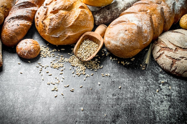 The range of types of fresh bread with grain