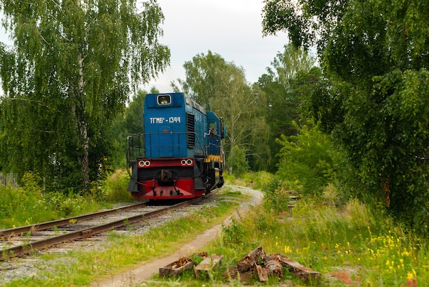 rangeerlocomotief TGM6 op een spoorlijn tussen het bos