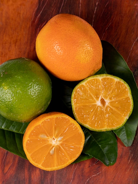 Фото Рангпур citrus limonia или citrus reticulata medica, иногда называемый рангпурским лаймом, мандариновым лаймом или лемандарином, представляет собой гибрид мандарина и цитрона.