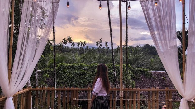 Ranong thailand evening sky rainforest    landscape