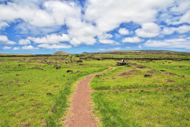 Rapa Nui. Petroglyphs on Easter Island