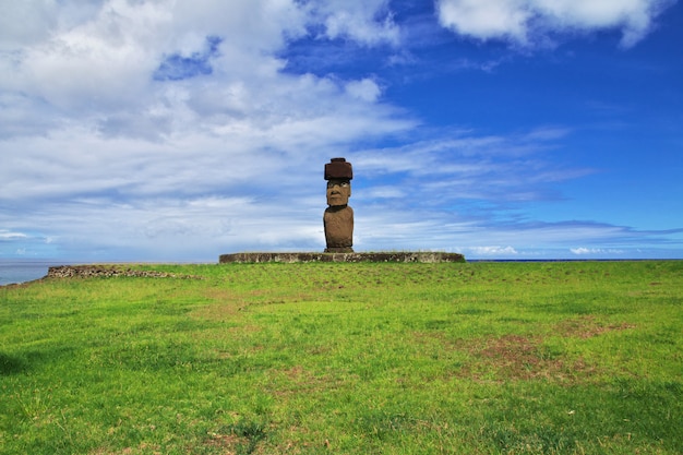 Photo rapa nui. the statue moai in ahu tahai on easter island, chile