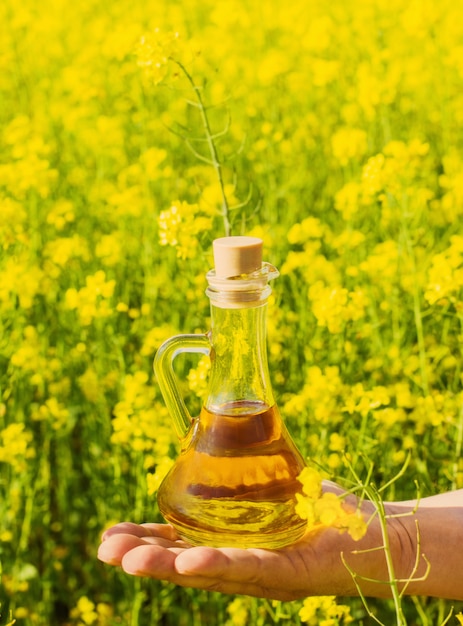 Rapeseed oil (canola) in rape field