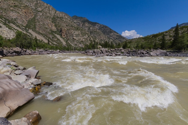 Foto corrente veloce del fiume chuya nelle montagne altai. estate. costa rocciosa