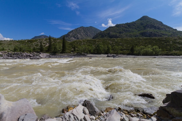 Быстрое течение реки Чуя в горах Алтая