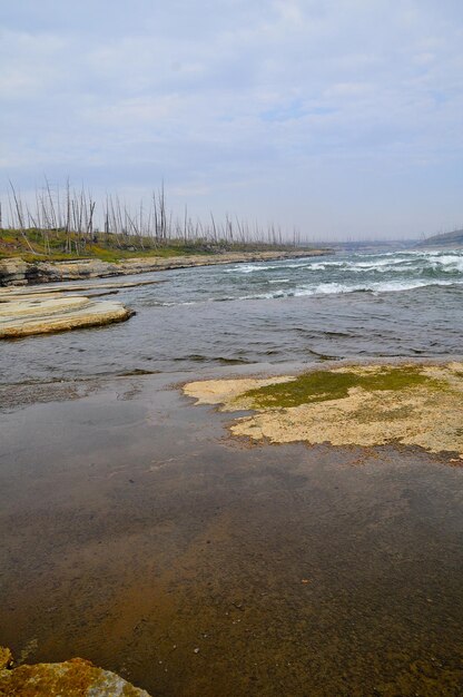 Rapid in Eastern Siberia