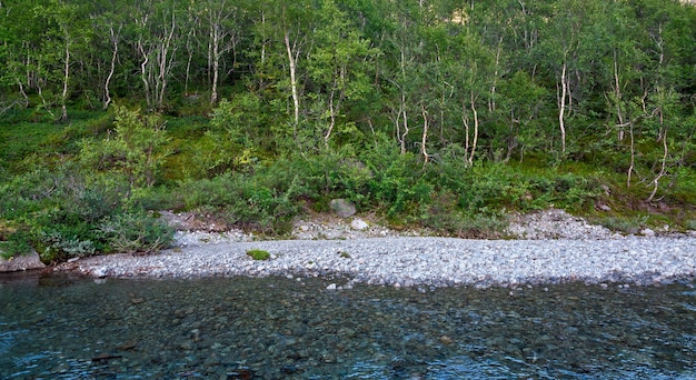 The rapid flow of the mountain river.