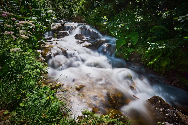 Rapid mountain stream through the forest