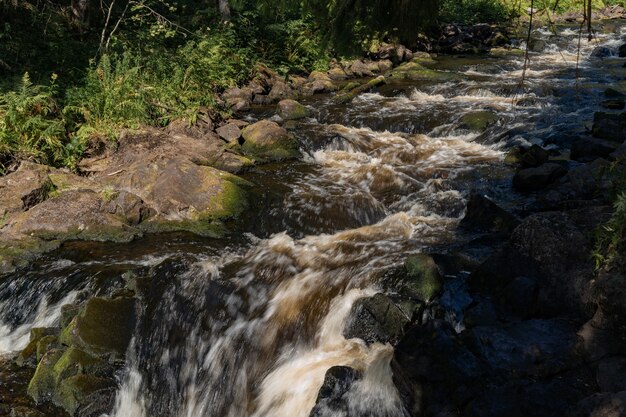 Rapid small mountain river with waterfall in forest