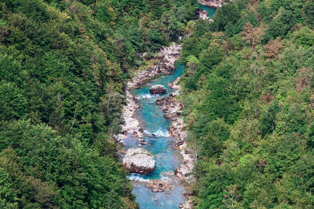 Rapid water view from above  mountain river and forest scenery