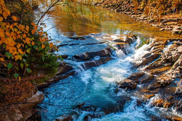 Rapids of a mountain river Blue oxen of a mountain river