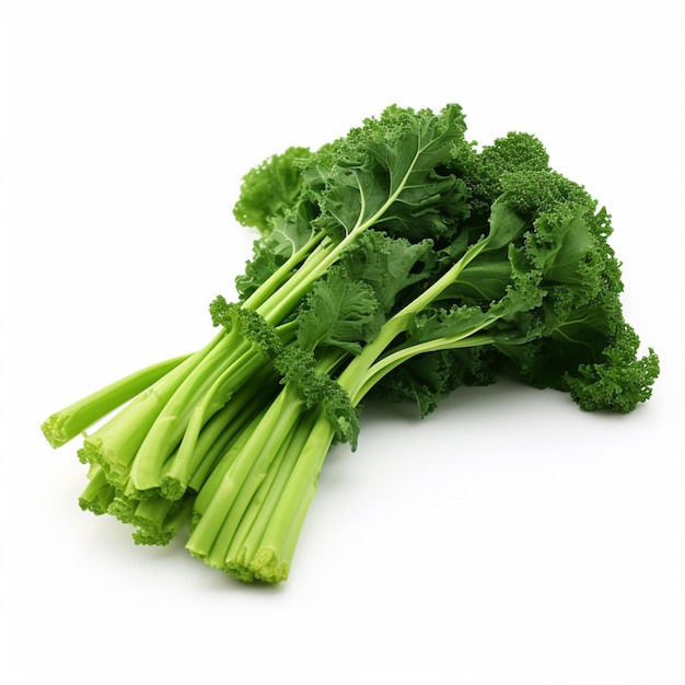 Rapini with white background high quality ultra hd