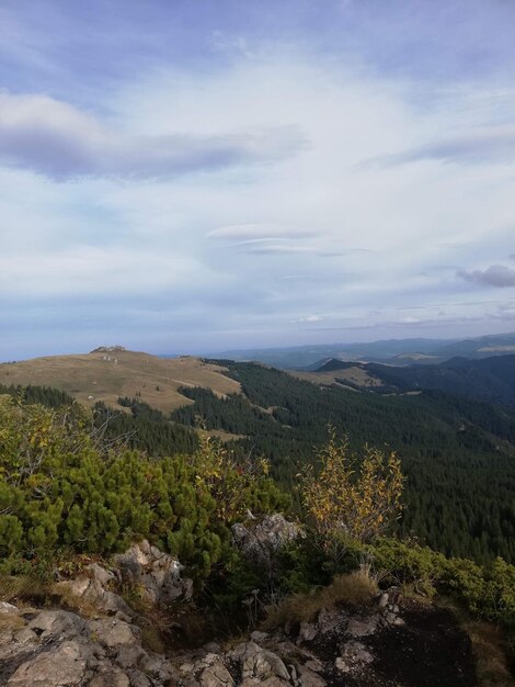 Photo rarau mountain