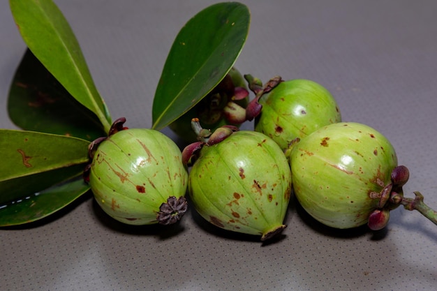 Foto frutto tropicale raro ed esotico identificazione botanica non trovata frutto simile al mangostano