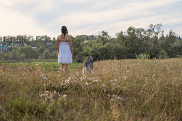 Rare view of caucasian blonde woman in white dress walk with alaskan malamute dog in summer field. love and friendship between human and animal.