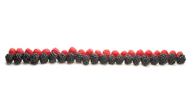 Raspberries and blackberry in a row isolated  